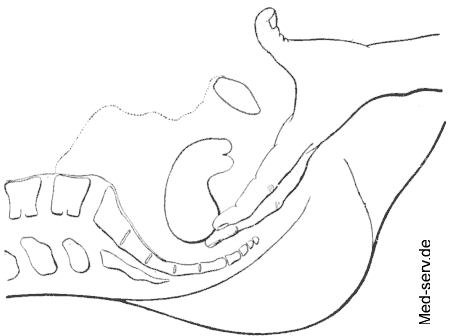 Orthopädische Therapie Frauenheilkunde