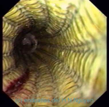 © Med-Serv.de-H.N.